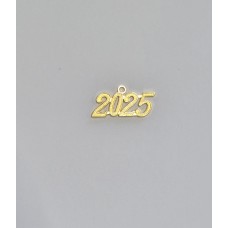 Childrens 2025 Year Charms - Pack of 10